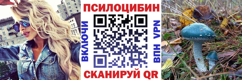 Псилоцибиновые грибы Cubensis  хочу наркоту  Шахты 
